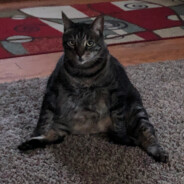 BorgusMcLorgus