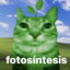 fotosíntesis