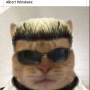 Albert Whiskers