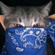 kokosh