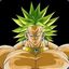 BROLY