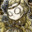 Gospodin Floatin's Avatar