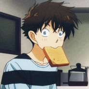 布偶猫的小宝贝