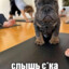 Вегетерианка
