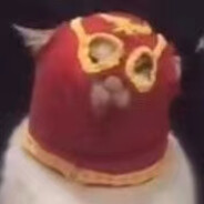 猫战士永不摘下面具