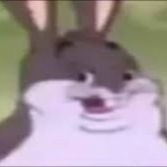 BIG CHUNGUS