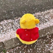 你总是一副不开心的样