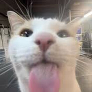 𝒌𝒊𝒕𝒂𝒆𝒄_♿