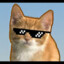 A_Gamer_Kitty