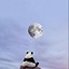 我爱郭卿婕