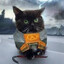 half-life pro