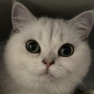 龙哥喜欢玩具酱