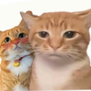 她说人多以为有我