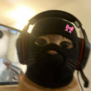 Ariszinha Kitty bota