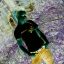 •๖ۣۜsҳ•»ηuTŧ{ę{Ň&#039;