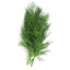 dill