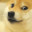 funny yellow dog