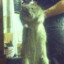 Ratto