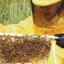 Benito l&#039;apicoltore
