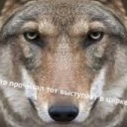 ВОЛк228НаРкОмАн:)