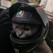 抱歉我只想喝杯冰阔落