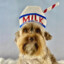 Milk_Dog