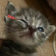 哦呦吼~不要酱紫嘛