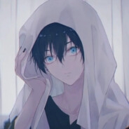 时刻白给的小马