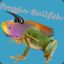 Froggin&#039; Bullfish