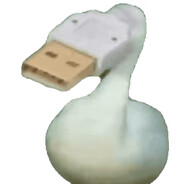 duck