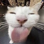 cat jam