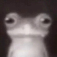 Nodnarb