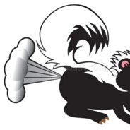 skunkki