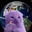 fig finder grizy friby grrrrrrr