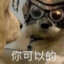 被残疾少女用轮椅撵牛算卒交吗