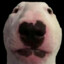 Wat6