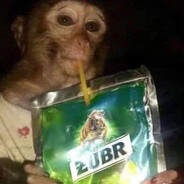 monkey avatar