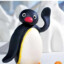 Pingu