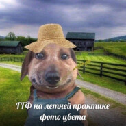 башня бомбежка