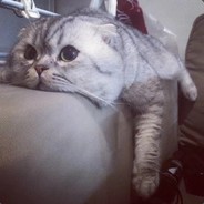 沙头角木村拓哉