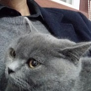 十年一觉扬州梦