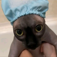 乂...𝔡.𝔦.𝔨.𝔦.y...