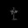 MongeLesbico†