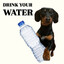 Drink water