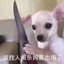 给我整把来福