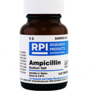 Rampicillin