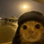 Trinitrin237's avatar