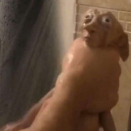 Throbbie Dobbie