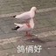 法外狂徒张三