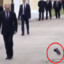 putin&#039;s pigeon